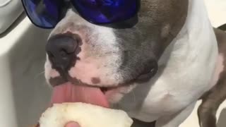 Peanut butter jelly time!