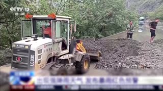 Floods disrupt traffic and strand cattle in China