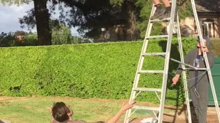 Ladder jump into friend on chair