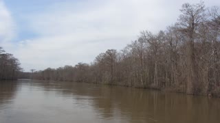 Louisiana Swamp Speed