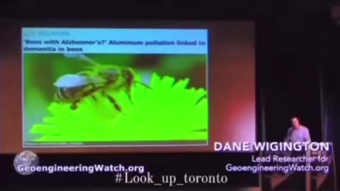 BEES and Aluminum