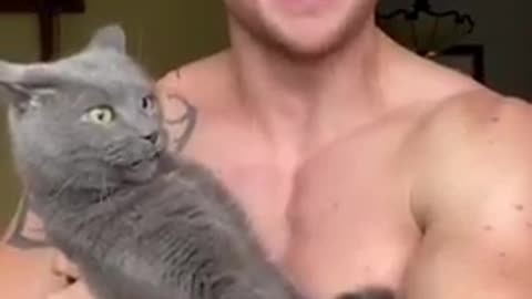 Cat Bites Man Face