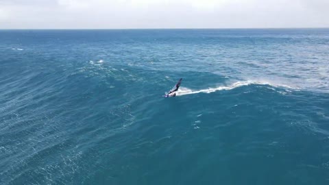 Kai Lenny Tow in and Windsurfing Jaws - February 13th, 2021 - Peahi