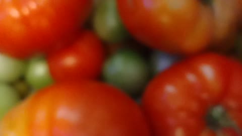 Harvesting garden