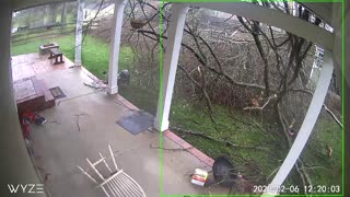 Storm Smashes Back Porch With a Tree