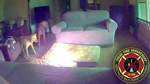 Dog starts a house fire in Tulsa, Oklahoma after chewing through a portable lithium-ion battery.