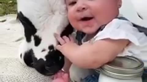 Cute baby cuddles cow