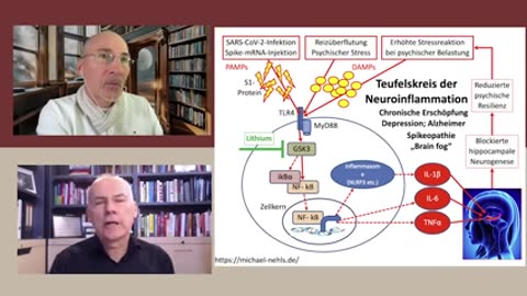 Das indoktrinierte Gehirn- Dr. Michael Nehls!!