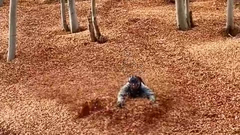 ‍♂️ Swiss cyclist Shows his ride through a forest of fallen leaves.🧠