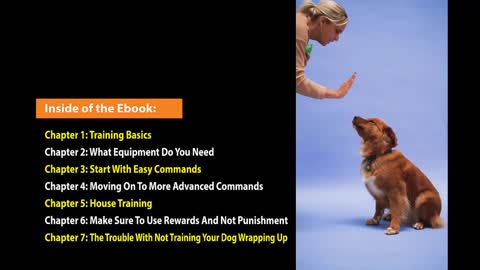 Dog Training // Dog training Tips and Tricks