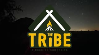 Welcome to The Tribe