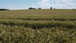 Drone captured amazing footage of organic farming