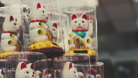 the lucky cat story