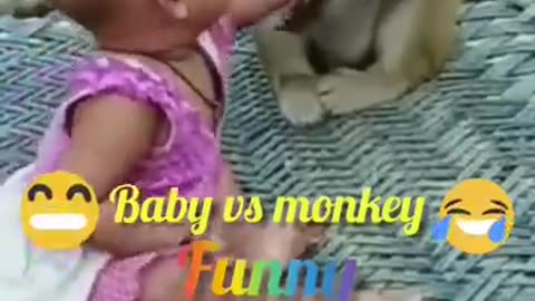 BABY vs Monkey