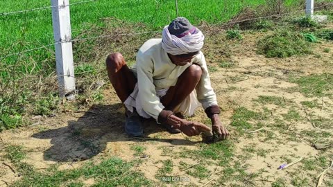 Daily Routine Of Indian Rural Village People {} Daily Life Of India farmer {} Real Life India