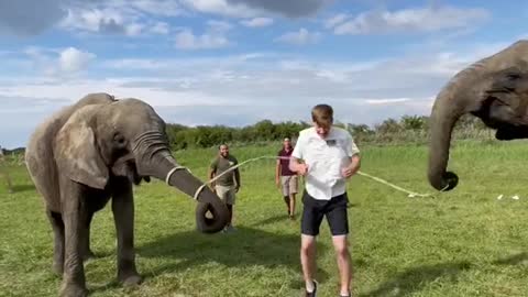 Elephant Jump Rope 😍 Cutest Critters