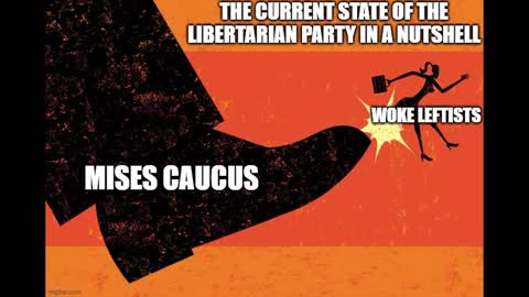 Sanity Has Just Been Returned to the Libertarian Party