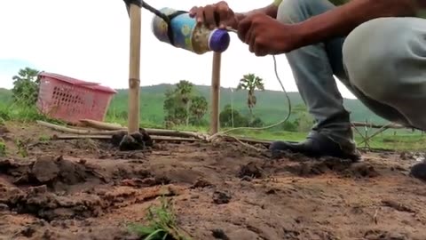 Amazing Creative Crocodile Trap Using Doubleyim And To Catch Crocodile