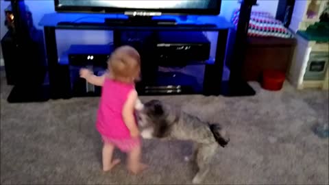 Toddler and puppy play Kinect