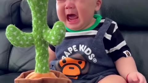 Cute Babies Playing with Dancing Cactus (Hilarious)Cute Baby Funny Videosq