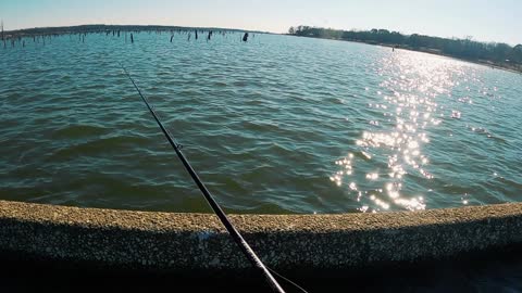 LAKE FORK TEXAS!!!! 8.55 & 7.27lb largemouth on a jerk bait