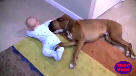 ❤❤Adorable Babies Playing With Dogs and Cats Funny Babies Compilation 2020 😂 #2❤