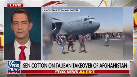 Biden’s Botched Afghanistan Withdrawal 'Tragic and Catastrophic' Senator Cotton