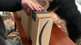 Amazon packaging fail