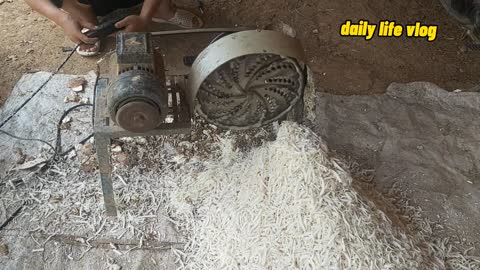 grind fresh cassava | daily life vlog