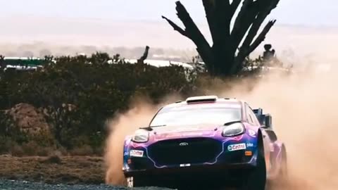 World rally