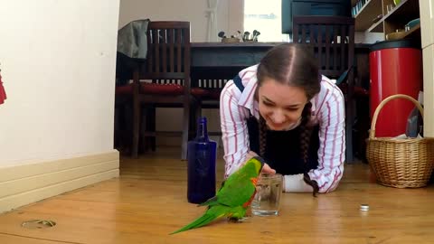 Skipping Lorikeet: The Rain Dance