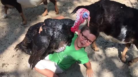 Incredible friendly turkey loves hugging little boy