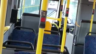 Man Breaks Bus Windows With Roadsigns
