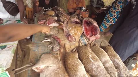 UNBELIEVABLE!!Africa BUSHMEAT Eaters, A Look at Nigeria's Culture
