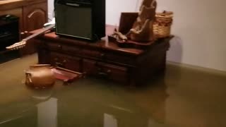 Flooded Streets Spill into Basement
