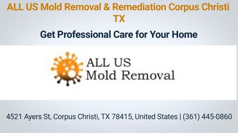 ALL US Mold Removal in Corpus Christi