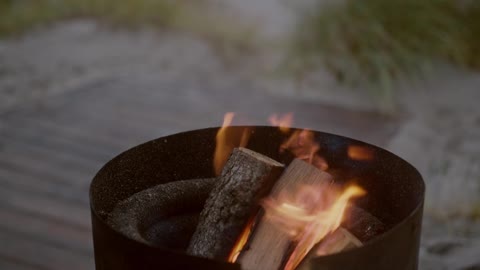 Burning Firewood in Fire Pit