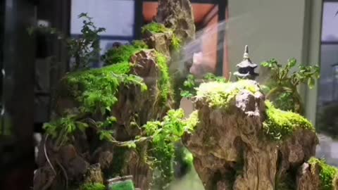 Micro landscape with Traditional Chinese characteristics