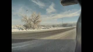 Barely Dodging a Dog Crossing Icy Road
