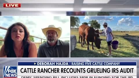 USA - Texas cattle ranchers discuss their grueling audit by the IRS.