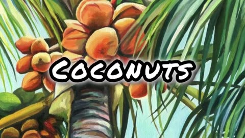 “Coconuts” | Tropical Beat / Instrumental | 106 bpm