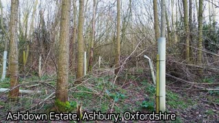 Sevenhampton Copse - Drone Exploration