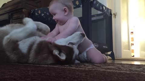 Baby and dog show love for one another!