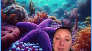 OLA TALKS STARFISH!