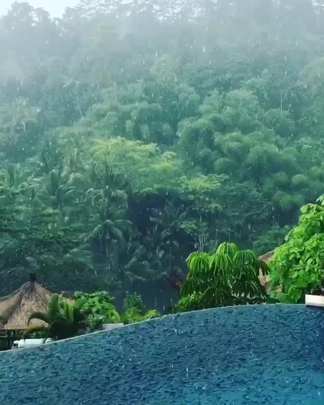 Rain in Bali