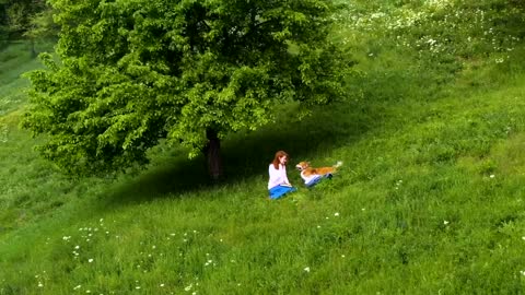 Woman with a dog on the green grass field