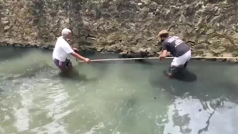 Rescue Dog in Drains