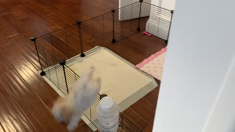 Stuck in Play Pen? No Problem- Here's how you escape