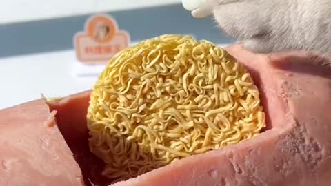 Cat ChangAn Makes World's LARGEST! Ham Instant Noodles!