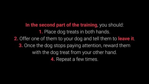 🦮Basic dog training- Top 10 Essential commands every dog should know